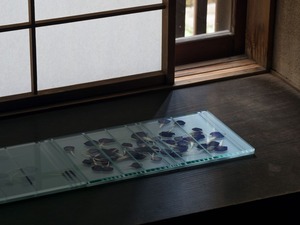 8《Ephemeral eternal (Flowing down)》