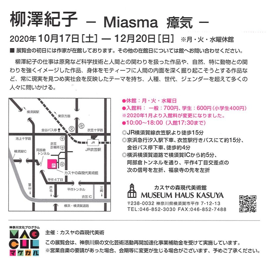 20201017カスヤ柳澤紀子展DM2