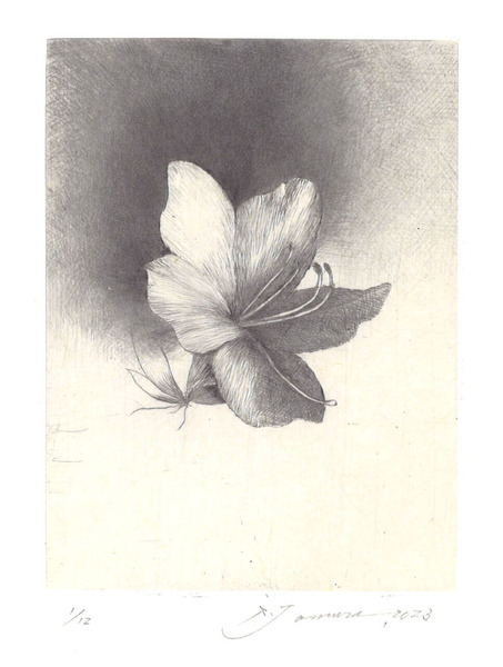 戸村茂樹_野外ノートAzarea 1