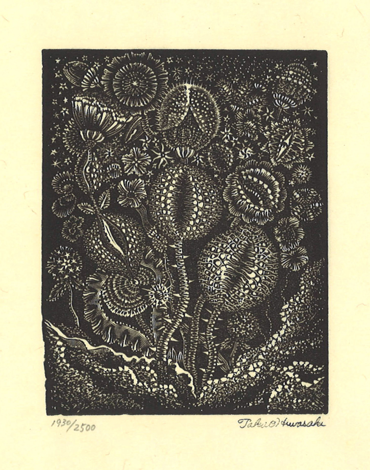 日和崎尊夫_鋼鉄の花