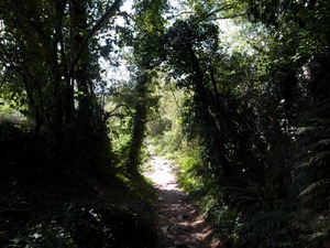 21コンクへの道