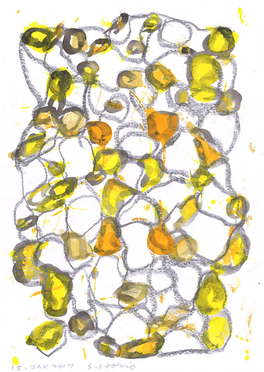 010堀尾貞治《18 Jan 2017》