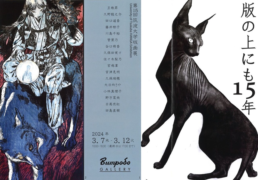 20240227132316_00001