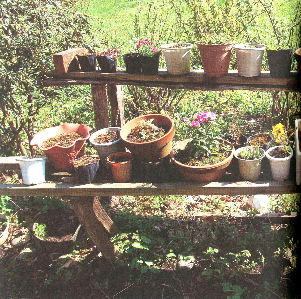 ⑤シュトルム神父の教会の庭