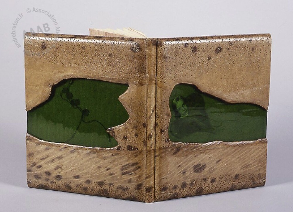 17) Arcane 17 IMG_3614