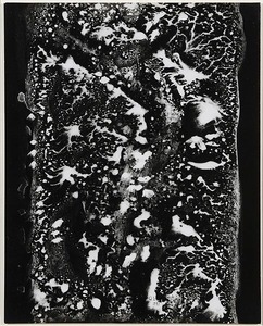 15_Title Unknown_1958_25.3x20.2cm