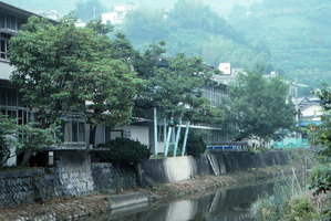 044縺ｮ繧ｳ繝偵ｚ繝ｼ