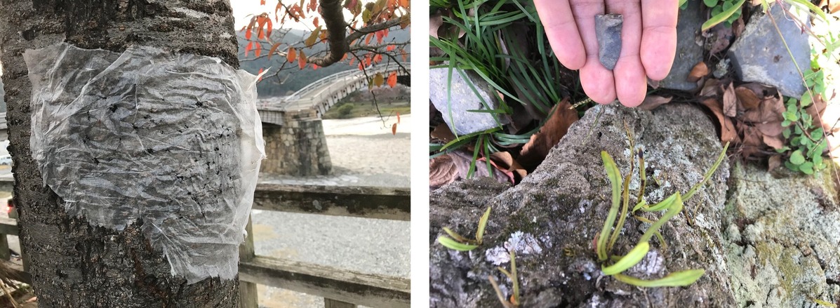 202012宮森敬子004