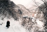 綿貫さん北温泉雪道を歩く