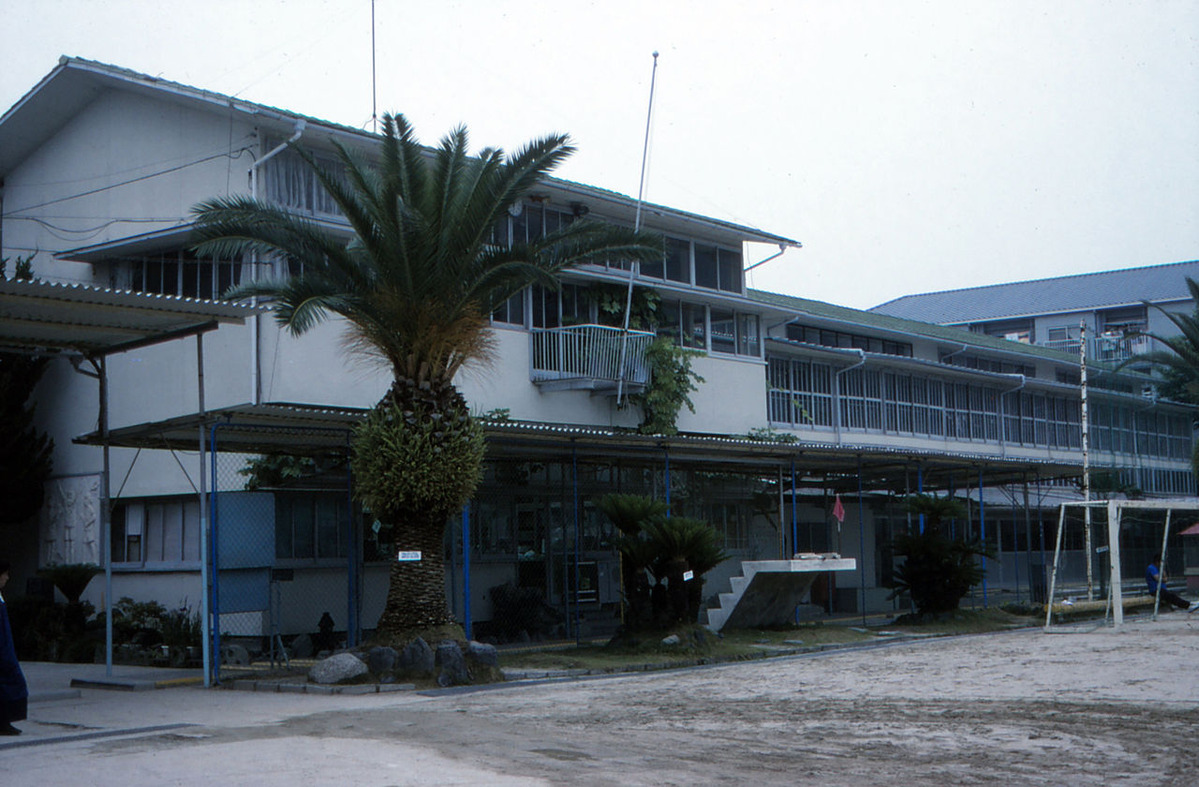 087縺ｮ繧ｳ繝偵ｚ繝ｼ