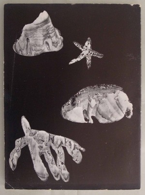 図７ アルバム・シュルレアリスト３