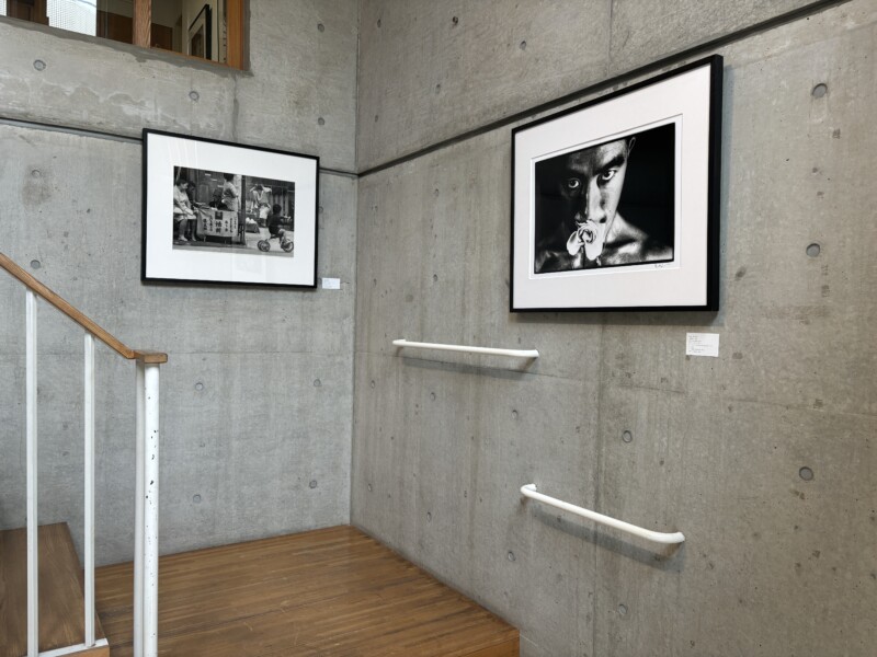 展示風景「追悼・細江英公展」Part 2 | ブログ | ときの忘れもの